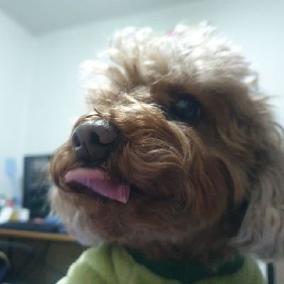 0519jh's profile picture. 