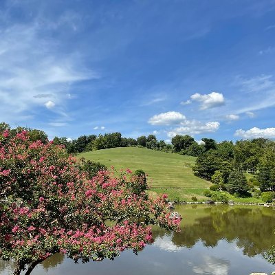 惠里
自分の投資がある
庭園を愛して家族と暮らしている。
庭園を知っている人と交流したい。🌳🪴🌲
日本で生まれて、小さい時から台湾に連れて行かれて生活しました。、一生懸命日本語を勉強しています🥹よろしくお願いします。🙇‍