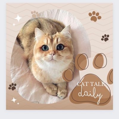 Cat_Tales_Daily Profile Picture