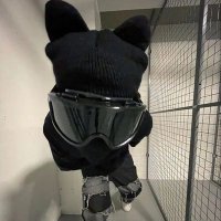 Bread (@breadiswet1) 's Twitter Profile