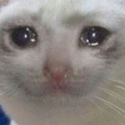 Time Killer, RDR2 Lover, Xbox, PC, MAC
Photoshop, Da Vinci Resolve, Zbrush.
Meat Head, Christian, Spiritual, Open Minded
All this and im still banging your mom.