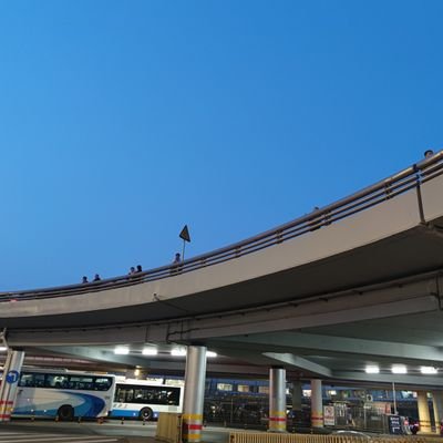 gannics01's profile picture. 