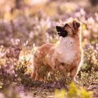 Masha  (@hi_i_am_masha) 's Twitter Profile