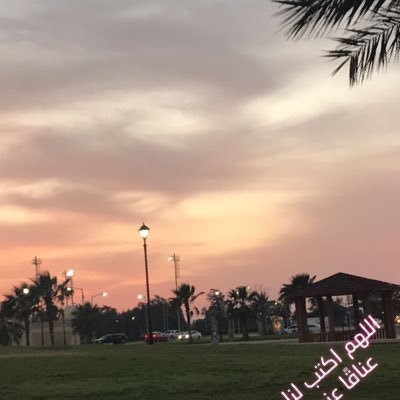 bsllrty1190587's profile picture. 