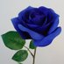 💙🥀Blue Rose 🥀 💙 (@noddylovesboobs) Twitter profile photo