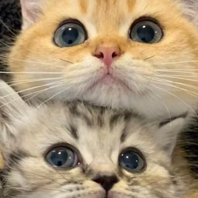 0916Mrgong's profile picture. 01-180-75，喜男初高细狗，腰控喜欢马甲线，看到私信都会回的，弟弟们快来找我聊天，线下可🧧