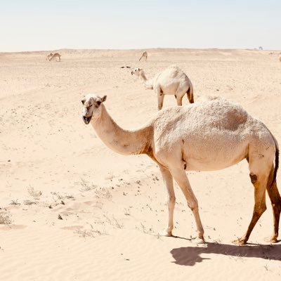 LoyaltyMoney_x7's profile picture. 🪬👁️