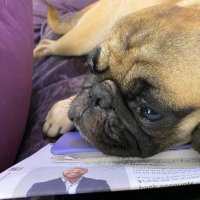 Kari Van Horn (@karivanhorn) 's Twitter Profile