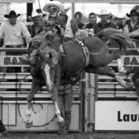 DOBSON IMAGES (@imagesdobson) 's Twitter Profile