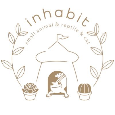 福岡県福岡市西区のペットショップ inhabit(インハビット)です。 小動物・爬虫類をメインに時々ノルウェージャンフォレストキャットの子猫の販売もございます。オリジナルグッズや飼育用品、餌用の活コオロギ・冷凍コオロギ・冷凍マウス フードなどお取り扱いございます。動管第E0501033号 画像、動画の無断転載・使用禁止