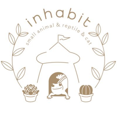 福岡県福岡市西区のペットショップ inhabit(インハビット)です。 小動物・爬虫類をメインに時々可愛い子猫の販売もございます。グッズや飼育用品、餌用の活コオロギ・冷凍コオロギ・冷凍マウス　フードなどお取り扱いございます。どうぞお立ち寄りくださいませ♪動管第E0501033号 画像、動画の無断転載・使用禁止