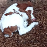 NDAYISABA Seth (@seth77500) 's Twitter Profile