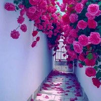 زينب✨⚖️ (@ziooon8gmailcom) Twitter profile photo