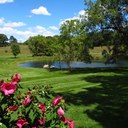 Janet Kroll - @jmkroll55 - Twitter