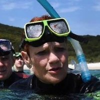 Just Another Coral Reef Scientist(@ScientistCoral) 's Twitter Profile Photo