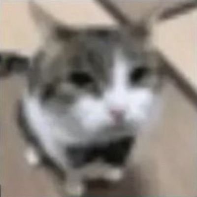 Pipiさんのプロフィール画像