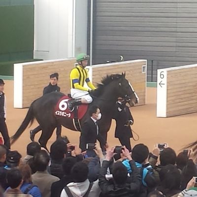 北海道日本ハムとジェフ千葉と清水エスパルスと競馬と銭湯とサウナを愛する俺です！