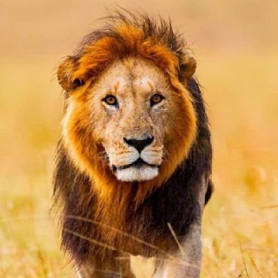 Arjun88608038's profile picture. Crypto