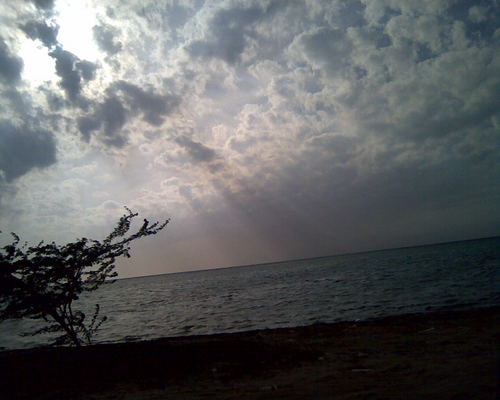 abo8hassan8's profile picture. متفائل للغد