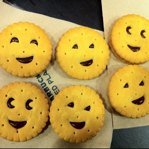 chicocoche's profile picture. 나중에 뭐 먹고 살지 고민중.