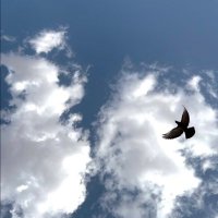 غيمة (@gimh88) Twitter profile photo