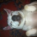 Vanessa Read - @nessyj1970 - Twitter