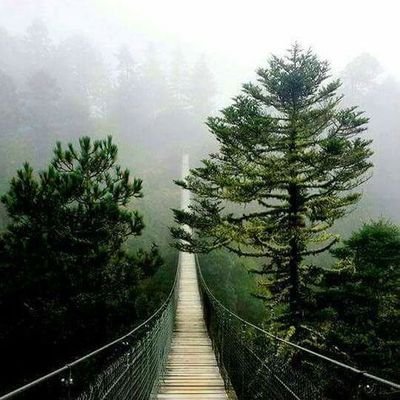 PatapaloTeam's profile picture. 