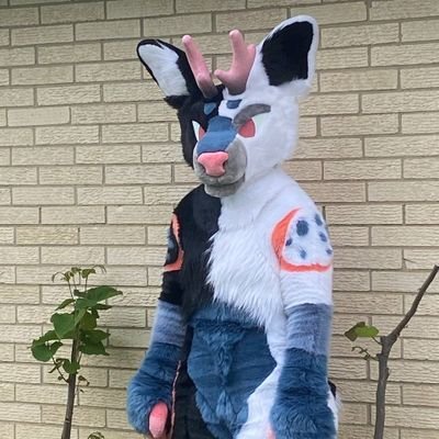 Cam a deerさんのプロフィール画像