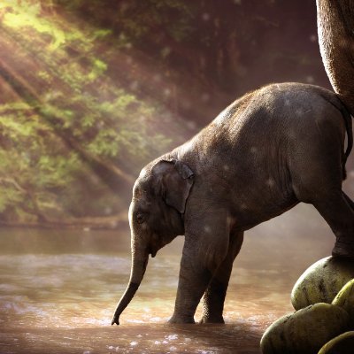 Abolish Cruelty. Kind peoples of the world unite!
Do what you can to lower the suffering of all life on earth.