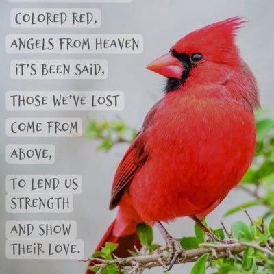 HvTudda's profile picture. ~~ ❣︎❥ ♪♬ ✍︎︎☕︎︎LLI🕊