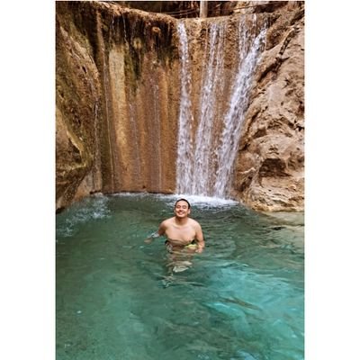 IAmLologano's profile picture. Natus Vincere. 🔥