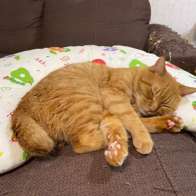 juggNQIhe93144's profile picture. 