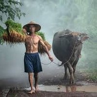 Quang Coser (@quangcoser) 's Twitter Profile
