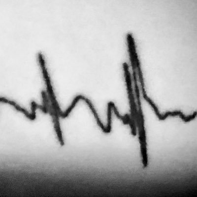 fukui291's profile picture. 