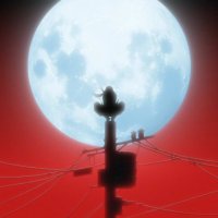 Dude (@dude1235457) 's Twitter Profile