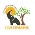 Love Zimbabwe Charity (@love_zimbabwe) Twitter profile photo