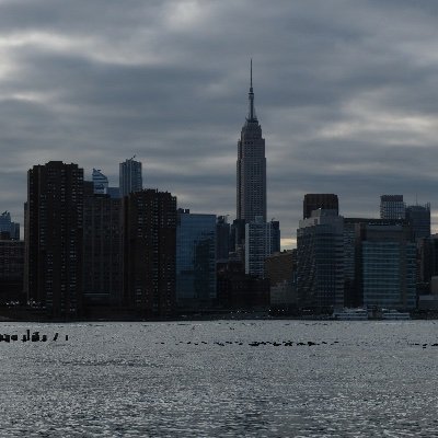 MSandman1111's profile picture. 