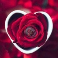 منثورات ورد (@asarhona) 's Twitter Profile Photo منثورات ورد (@asarhona) 's Twitter Profile Photo