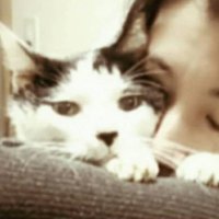 NICO63 (@conanan0603) 's Twitter Profile