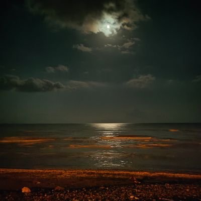 aalipour2006's profile picture. 𝕀 𝕒𝕞 𝕨𝕙𝕠 𝕀 𝕒𝕞🗿
