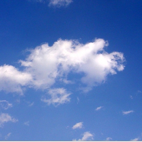 CEO_Ryu's profile picture. 내일의 게으른 삶을 위해 오늘도 부지런히!