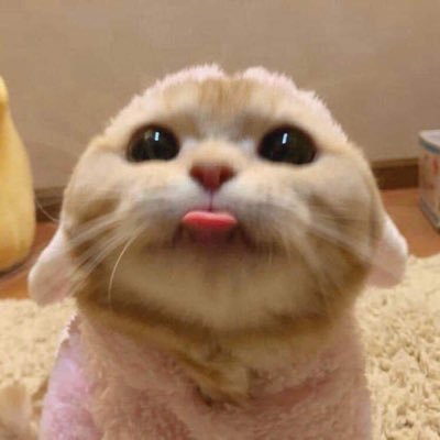 pandakewtuwu's profile picture. 