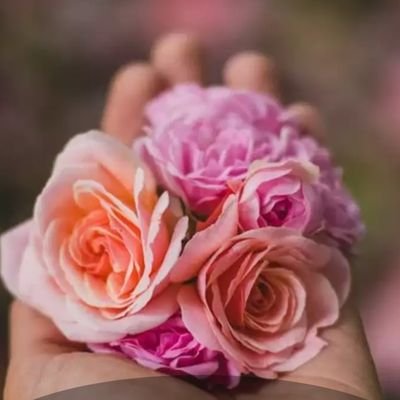 Jasveer73043812's profile picture. Teacher who instead loves to be a learner all life