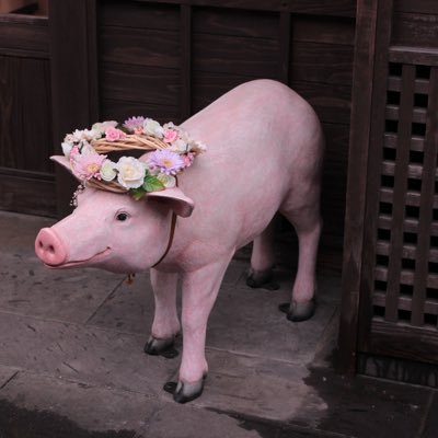 たださんのプロフィール画像