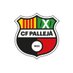CF Pallejà (@cfpalleja_) Twitter profile photo CF Pallejà (@cfpalleja_) Twitter profile photo