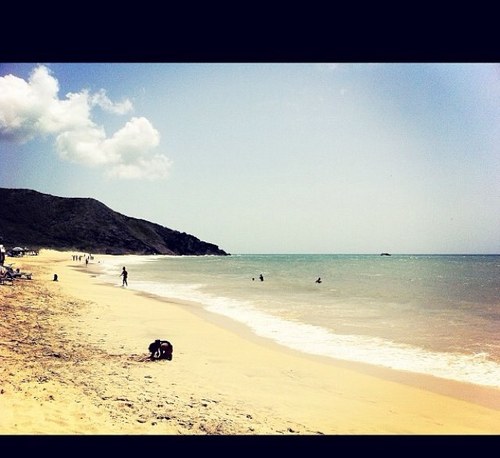 HectorTRondon's profile picture. 