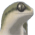BIGW33D420 (@bigw33d420) 's Twitter Profile Photo BIGW33D420 (@bigw33d420) 's Twitter Profile Photo