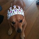 robyn murray - @robynmurray3 - Twitter