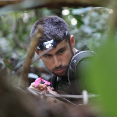 He/him. Entomologist from Sicily/Italy. Main focus on ants 🐜
PhD in Evolutionary Biology and Ecology 🌱
STAND FOR 🇵🇸
enrsc8@gmail.com 📧