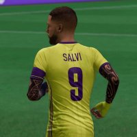 salvi9_cpro (@cgsalvi) 's Twitter Profile